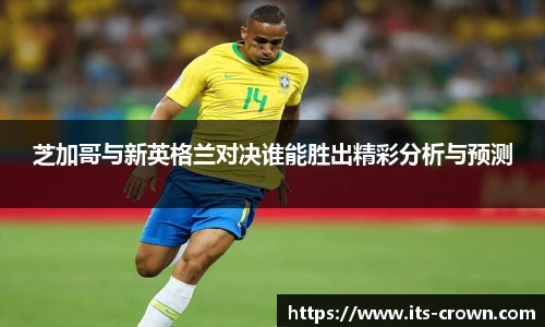 芝加哥与新英格兰对决谁能胜出精彩分析与预测